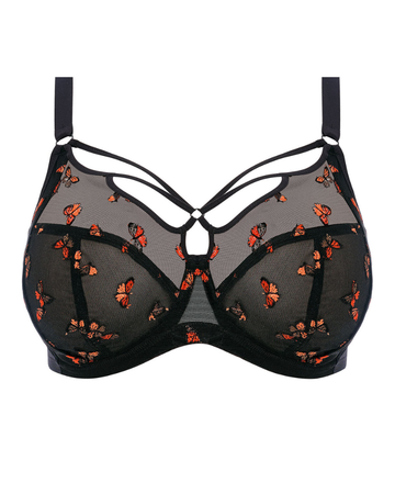 Elomi 4353 Black Butterfly Sachi Underwire Bra myselfingerie.com